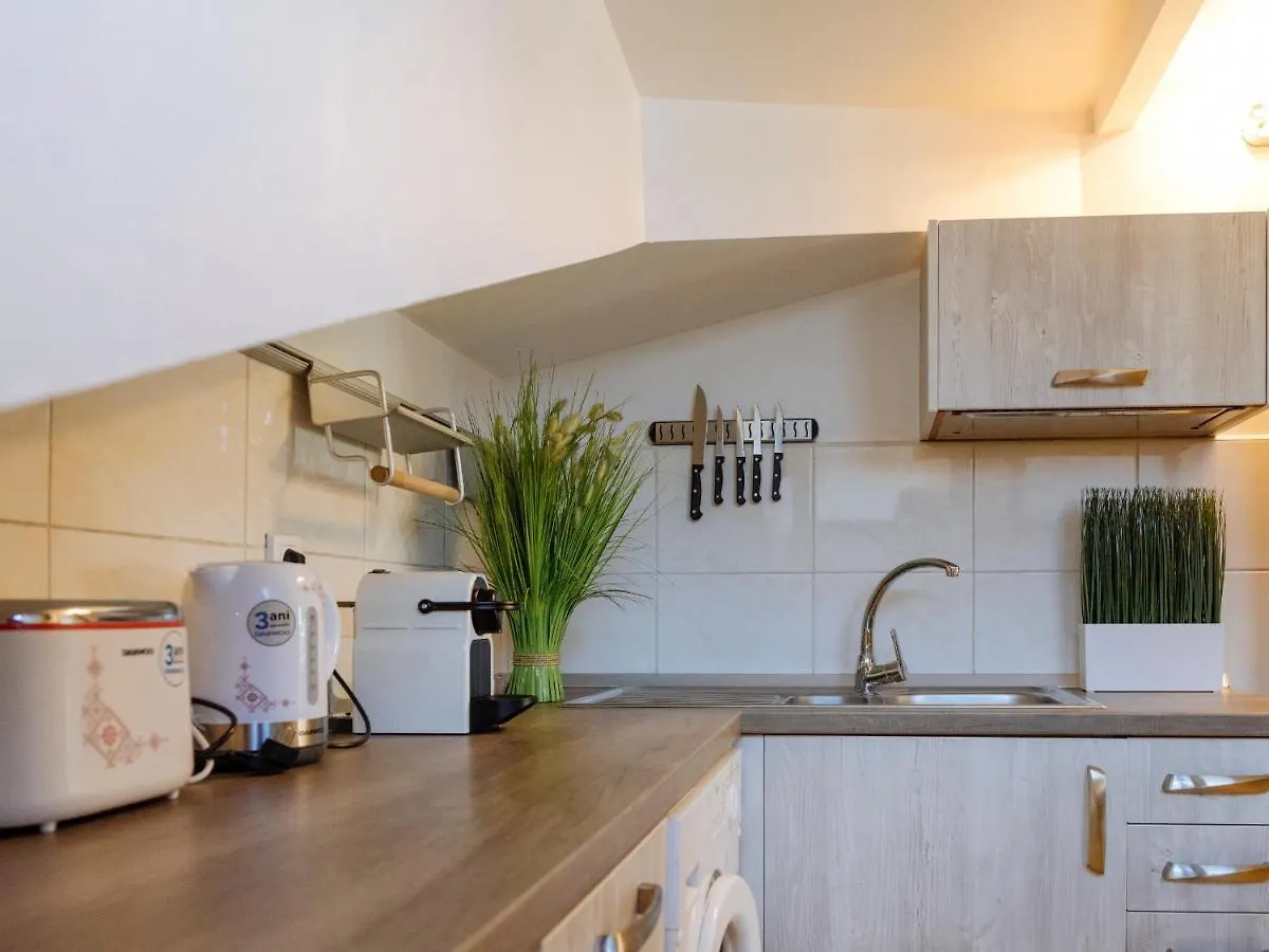 Amazing City View Residences - Penthouse & Apartment Bucarest